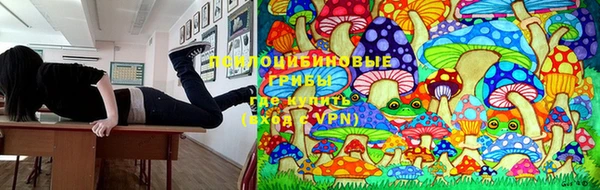 мескалин Аркадак