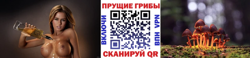 Псилоцибиновые грибы ЛСД  Таштагол 